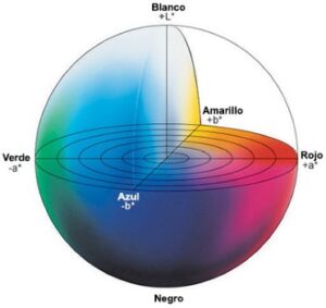 Interpretación De Los Cuadrantes Del Espacio De Color | Colorbatch